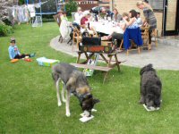 Img_015236