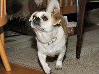 Img_015458
