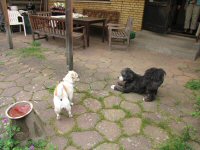 Img_015520