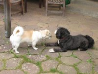 Img_015523