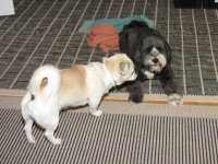Img_015529
