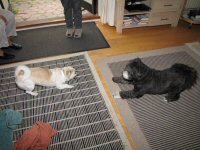 Img_015532