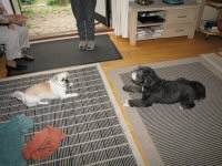 Img_015533