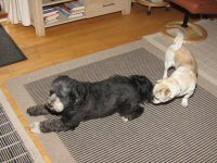 Img_015534