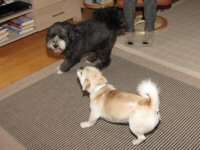 Img_015535