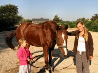 Img_015675