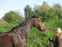 Img_015748
