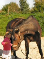 Img_015858