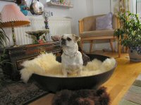Img_015537
