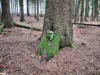 Img_016623