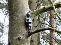 Img_016625
