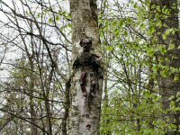Img_016628