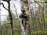 Img_016629
