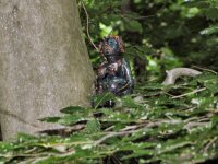 Img_016761