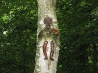 Img_016762