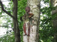 Img_016764