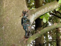 Img_016766