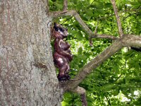 Img_016776