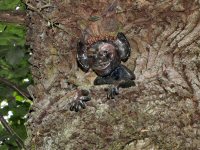 Img_016781