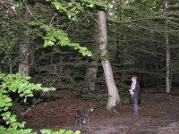 Img_016790