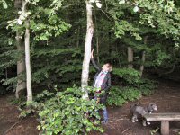 Img_016792