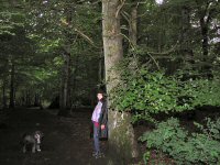 Img_016800