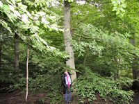 Img_016801