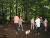 Img_017862