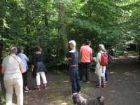 Img_017864