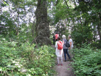 Img_017866