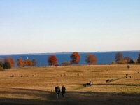 Img_018059