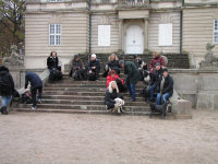Img_019261