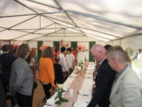 Img_019534