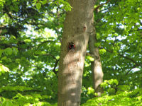 Img_020269