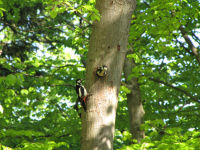 Img_020278