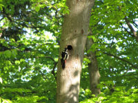 Img_020290