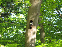 Img_020296
