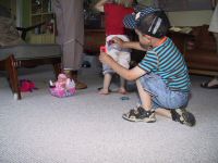 picture