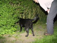 Img_13315
