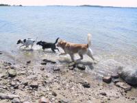 Img_13461