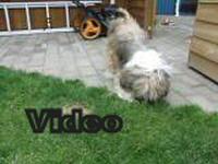 Mvi_006407