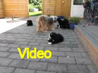 Mvi_006678