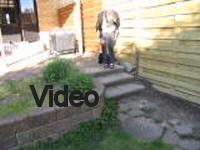 Mvi_006681