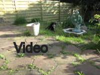 Mvi_006682