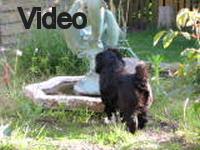 Mvi_006683