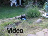 Mvi_006684