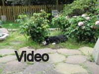Mvi_006730