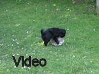 Mvi_006766