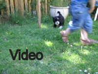Mvi_006792