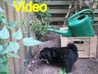 Mvi_006814